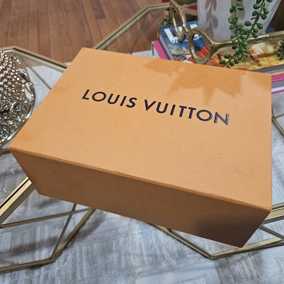 Louis Vuitton Run Away Sneaker - Picture 12 of 12